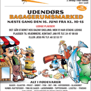 Bazar Skelund skifter gear